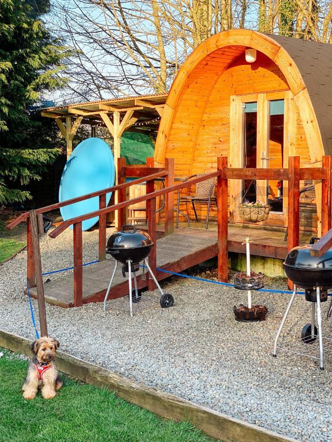 Log Cabin Kells  Zewnętrze zdjęcie